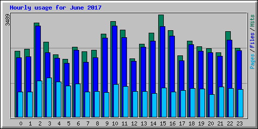 Hourly usage for June 2017