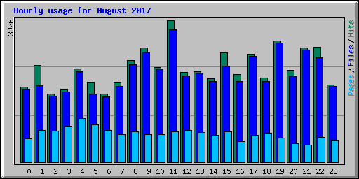 Hourly usage for August 2017