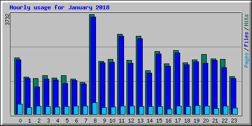 Hourly usage for January 2018